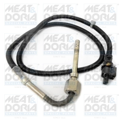 Sensor, exhaust gas temperature